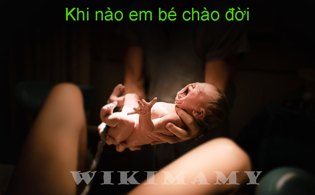 Khi nào em bé chào đời