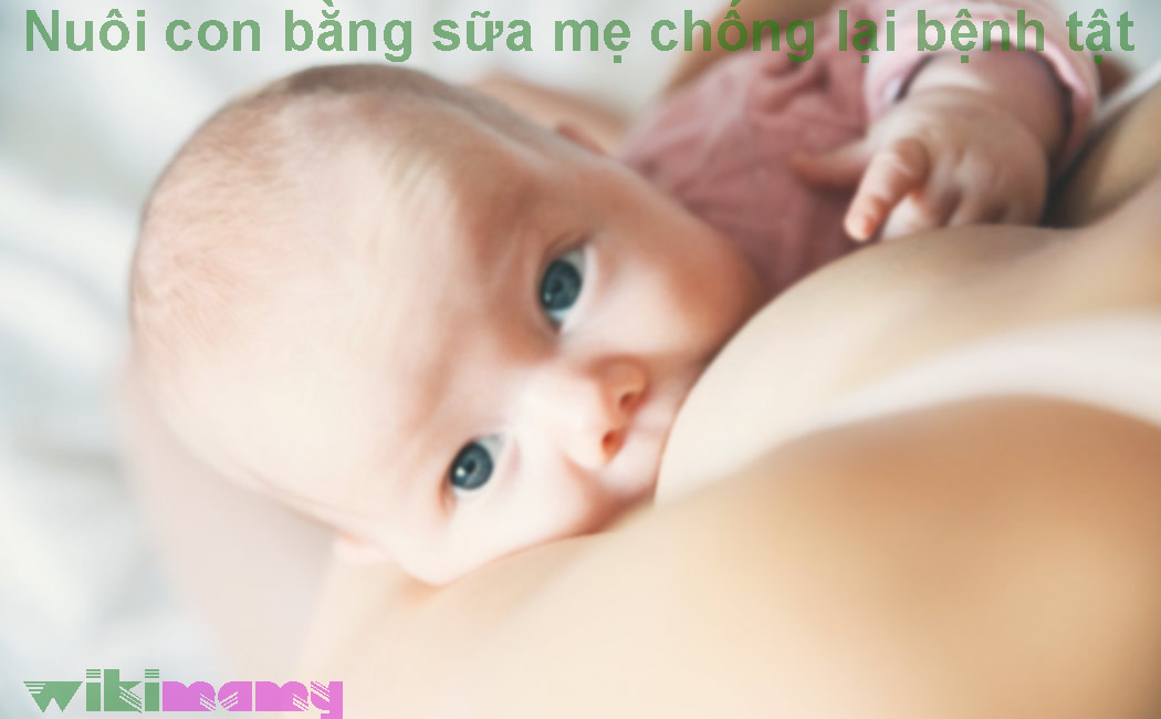 Nuôi con bằng sữa mẹ chống lại bệnh tật